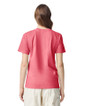 1717 Heavyweight Adult T-Shirt Back (Watermelon)