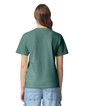 1717 Heavyweight Adult T-Shirt Back (Light Green)