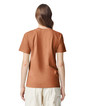 1717 Heavyweight Adult T-Shirt Back (Yam)