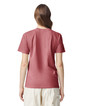 1717 Heavyweight Adult T-Shirt Back (Crimson)