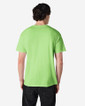 Gildan Adult Short Sleeve Crewneck T-Shirt 5000 (Kiwi)
