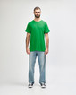 Gildan Adult Short Sleeve Crewneck T-Shirt 5000 (Irish Green)