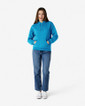 Adult Hooded Sweatshirt 18500 (Sapphire)