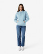 Adult Hooded Sweatshirt 18500 (Light Blue)