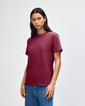 Adult T-Shirt 1301 (Burgundy)