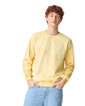 1545 Color Blast Adult Crewneck Sweatshirt (Citrine) 1545 Color Blast Adult Crewneck Sweatshirt (Citrine)