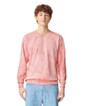 1545 Color Blast Adult Crewneck Sweatshirt (Clay) 1545 Color Blast Adult Crewneck Sweatshirt (Clay)