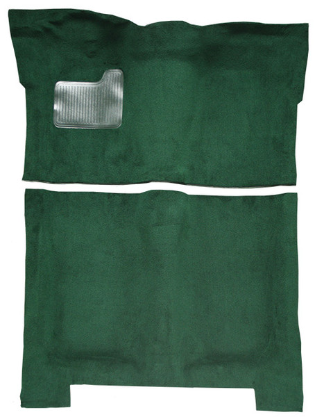 1974-1975 Buick Century 4DR Carpet
