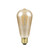 https://dam.epim.online/cromptonlamps-4db1624d-554a-427d-ace5-5ea137e17502/Sycamore/Images/CR4238 E27 Filament Lamp Squirrel Cage.jpg