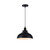 https://dam.epim.online/cromptonlamps-4db1624d-554a-427d-ace5-5ea137e17502/Sycamore/Images/SY8834B.jpg