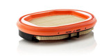 Filtro de aire complementario MANN-FILTER CF 2530 248mm 183mm