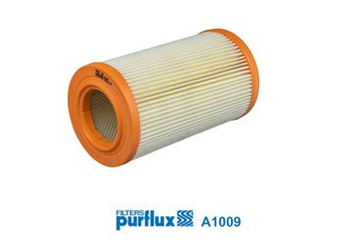 Filtro de aire PURFLUX A1009 236mm 137mm