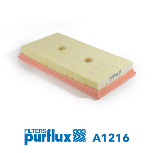 Filtro de aire PURFLUX A1216 42mm 300mm