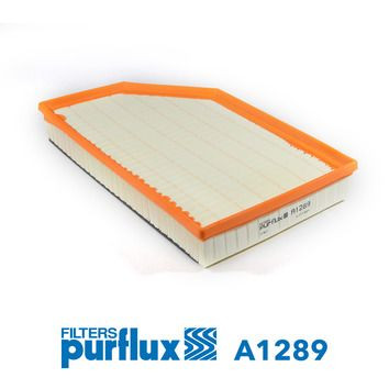 Filtro de aire PURFLUX A1289 56mm 347mm