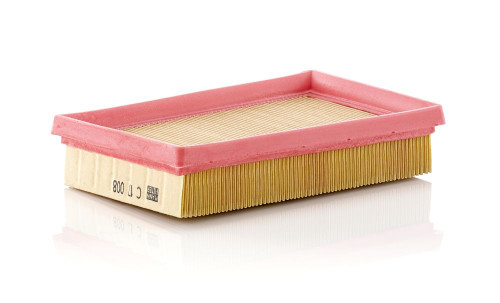 Filtro de aire MANN-FILTER C 17 008 179mm 117mm