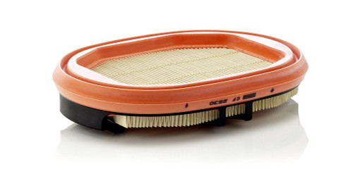 Filtro de aire complementario MANN-FILTER CF 2530 248mm 183mm