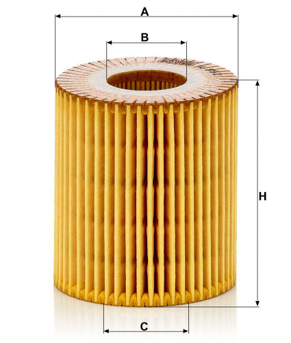 Filtro de aceite MANN-FILTER HU 815/2 x 79mm 31mm