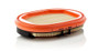 Filtro de aire complementario MANN-FILTER CF 2530 248mm 183mm