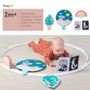 Taf Toys All Around Me Activity Hoop | Developmental Hoop, Prefect for Newborns and up, with 24 Developmental Activities. Designed to Promote Baby’s Senses, Motor Skills and Cognitive Development.