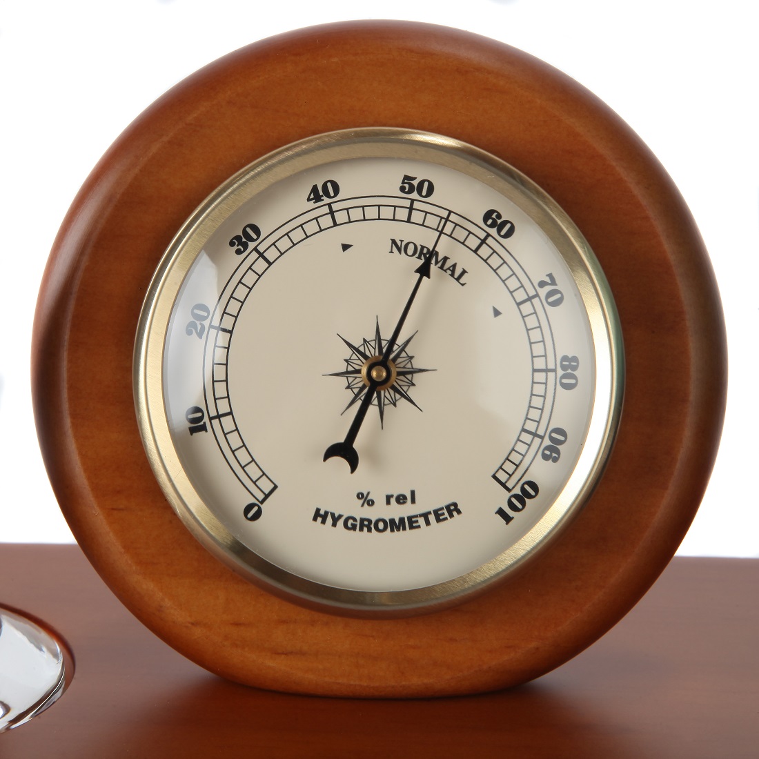 Lily's Home Galileo Thermometer - Walrus, Measures From