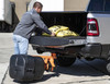 SaltDogg Tailgate Spreaders 4.4 Cubic Feet | Vertical Auger, Gravity Feed