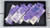 Black Raspberry, Soy Wax Melts Snap Bar - 1PC