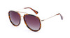 Prive Revaux - The King Sunglasses - Tortoise