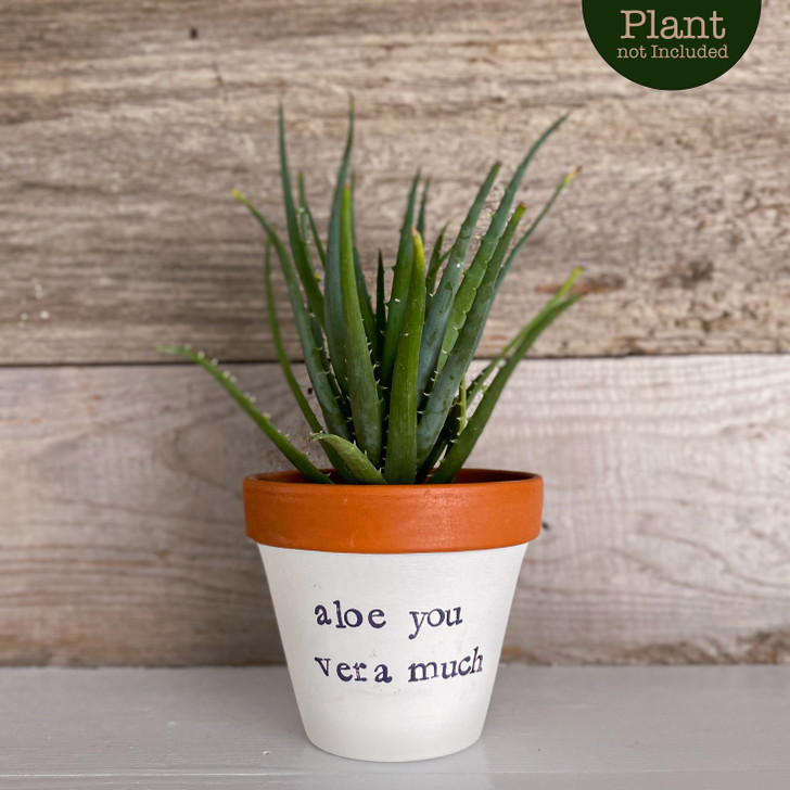 Aloe You Very Much Hand Painted Stenciled Pot