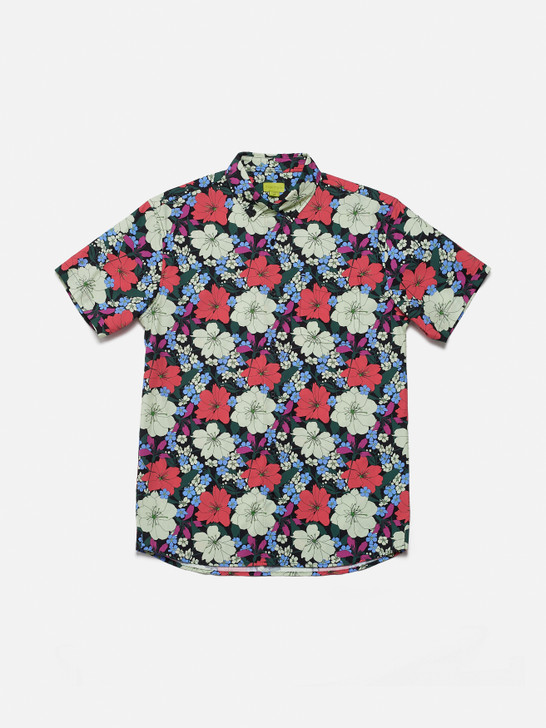 Poplin & Co Men's Short Sleeve Printed Button Down Shirt - Tropical ...