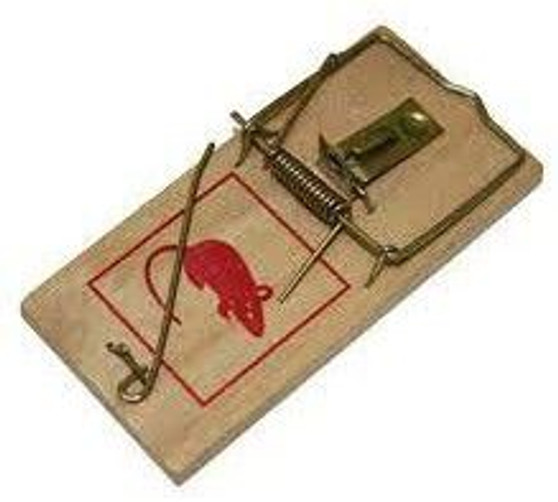 WOOD MOUSE TRAP LARGE 1 PK (RAT GUARD)