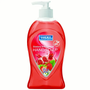 LUCKY HAND SOAP LIQUID (ASSORTED) 14.OZ