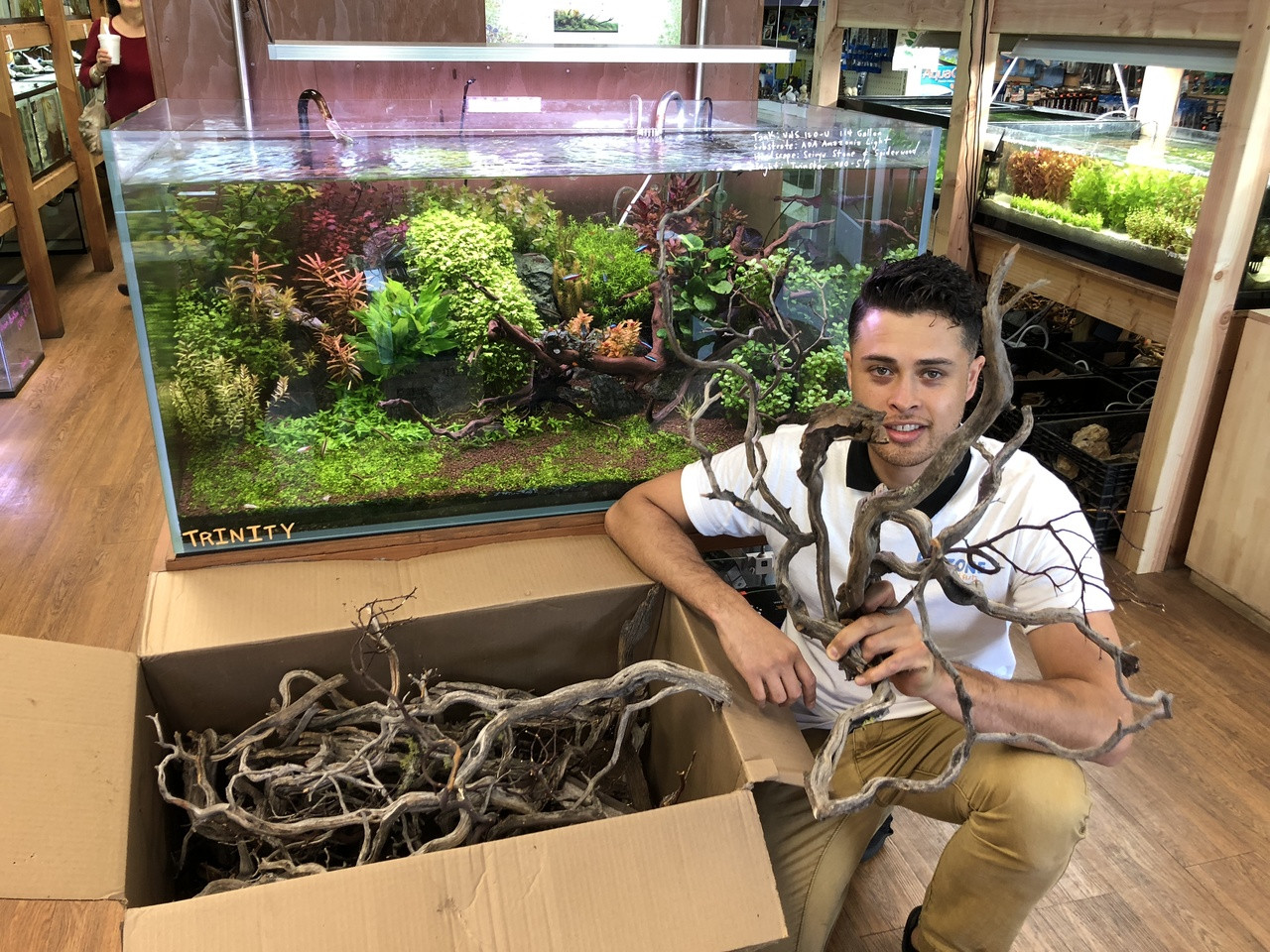 Freshwater Aquarium Decor: Tom Barr's Centerpiece Manzanita Wood ...