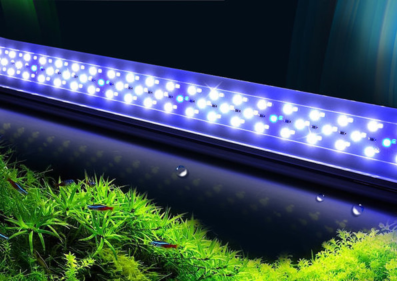 Freshwater Planted Tank Lighting: Leglass Aquarium Adjustable LED