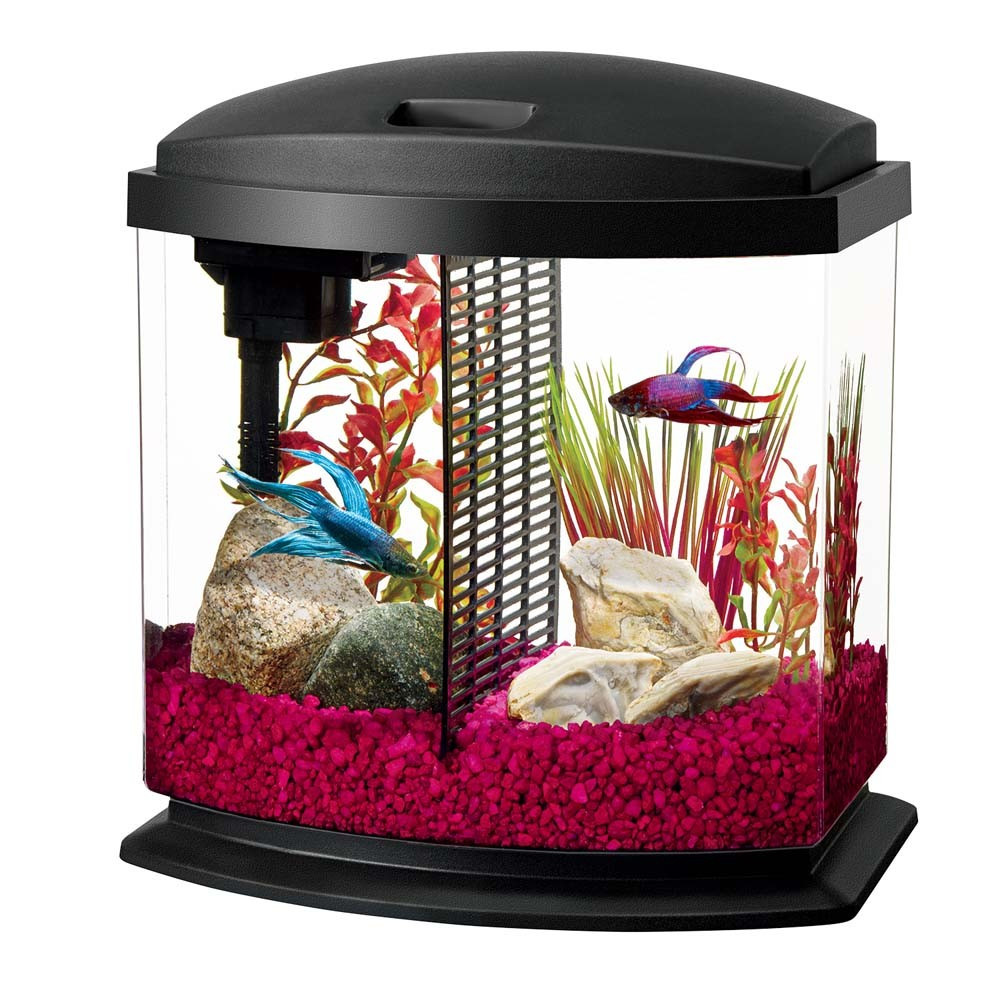 betta falls tank