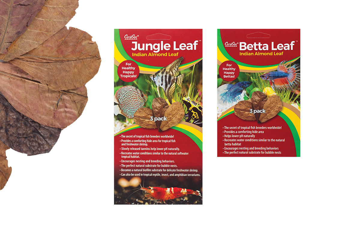 Freshwater Tropical Fish Leaf CaribSea Betta Almond Leaf