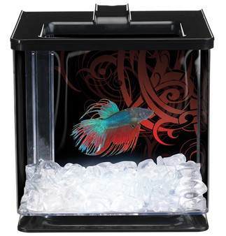 Marina Betta Special Edition EZ Care Aquarium - Black - 2.5 L (0.7 US Gal)