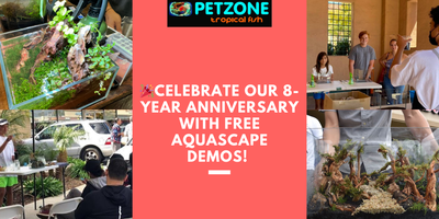Celebrate Our 8-Year Anniversary with Free Aquascape Demos! 
