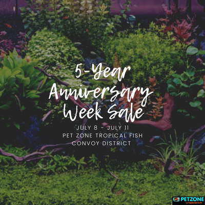 Five-Year Anniversary Week Sale & Festivities - July 8th - July 11th, 2021