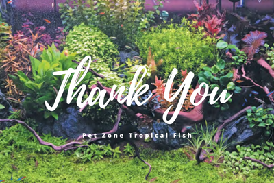 Thank You For All The Support & Love - We Hit Our 5-Year Anniversary Here At Pet Zone SD!