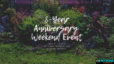 Get Ready for Pet Zone SD's 8-Year Anniversary Weekend Celebration!