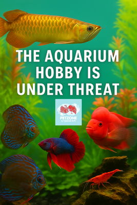 Urgent: New Tariffs Threaten Local Fish Stores Like Ours