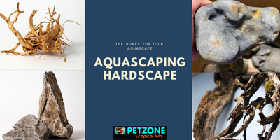 Aquascaping Hardscape - The 'Bones' Of An Aquascape