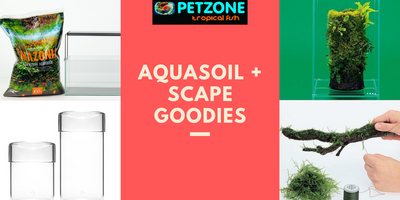 Aquasoil + Aquascape Goodies Restock