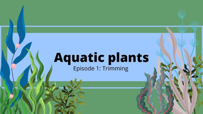 Aquarium Plants - Episode 1: Trimming