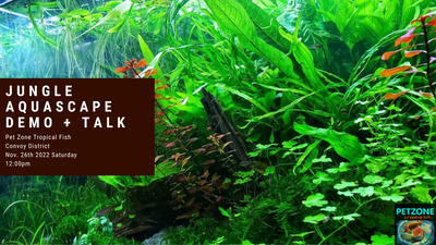 FREE DEMO: Jungle Style Aquascape