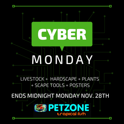 Cyber Monday Deals NOW LIVE Here At Pet Zone SD