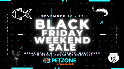 Black Friday, Small Business Saturday & Cyber Monday Sale 2021 At Pet Zone SD