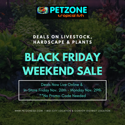 Black Friday Weekend Sale NOW LIVE At Pet Zone SD!