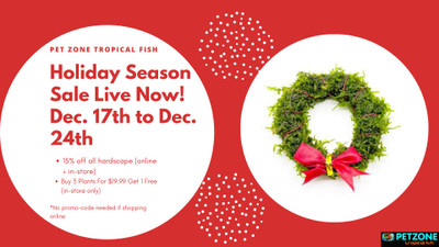 Christmas Season Sale At Pet Zone Tropical Fish