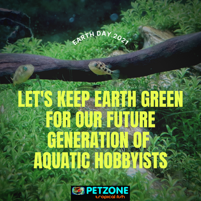 Happy Earth Day 2021 From Pet Zone Tropical Fish